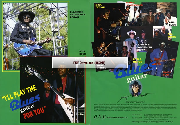 PDF Download (852KB)